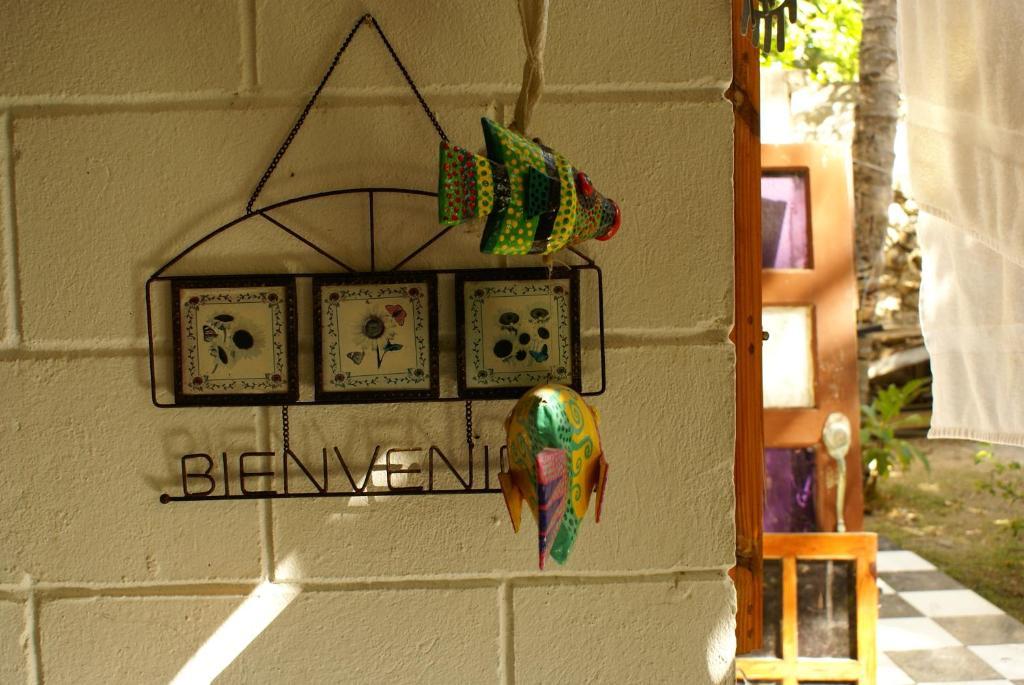 Hostal Casaluna San Andres 객실 사진