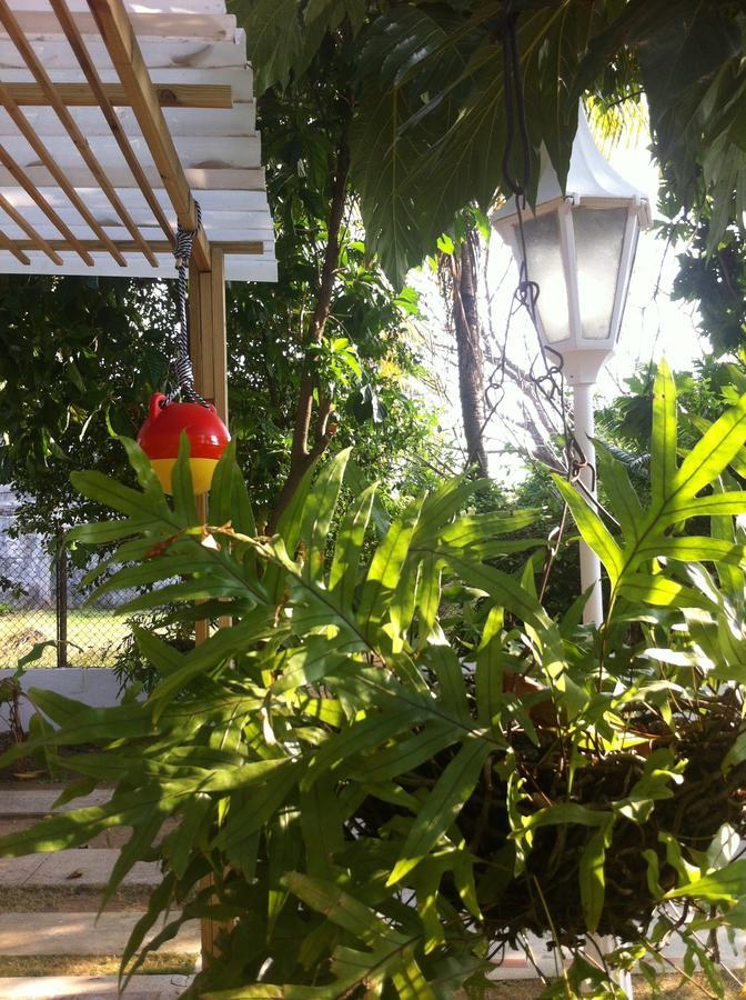 Hostal Casaluna San Andres 외부 사진